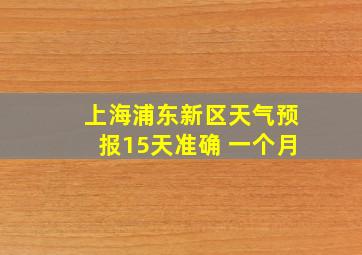 上海浦东新区天气预报15天准确 一个月